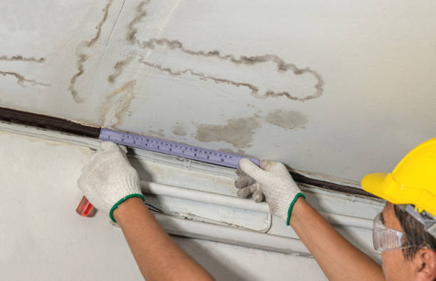 Affordable Water Damage Repair solutions in Weldon, NC